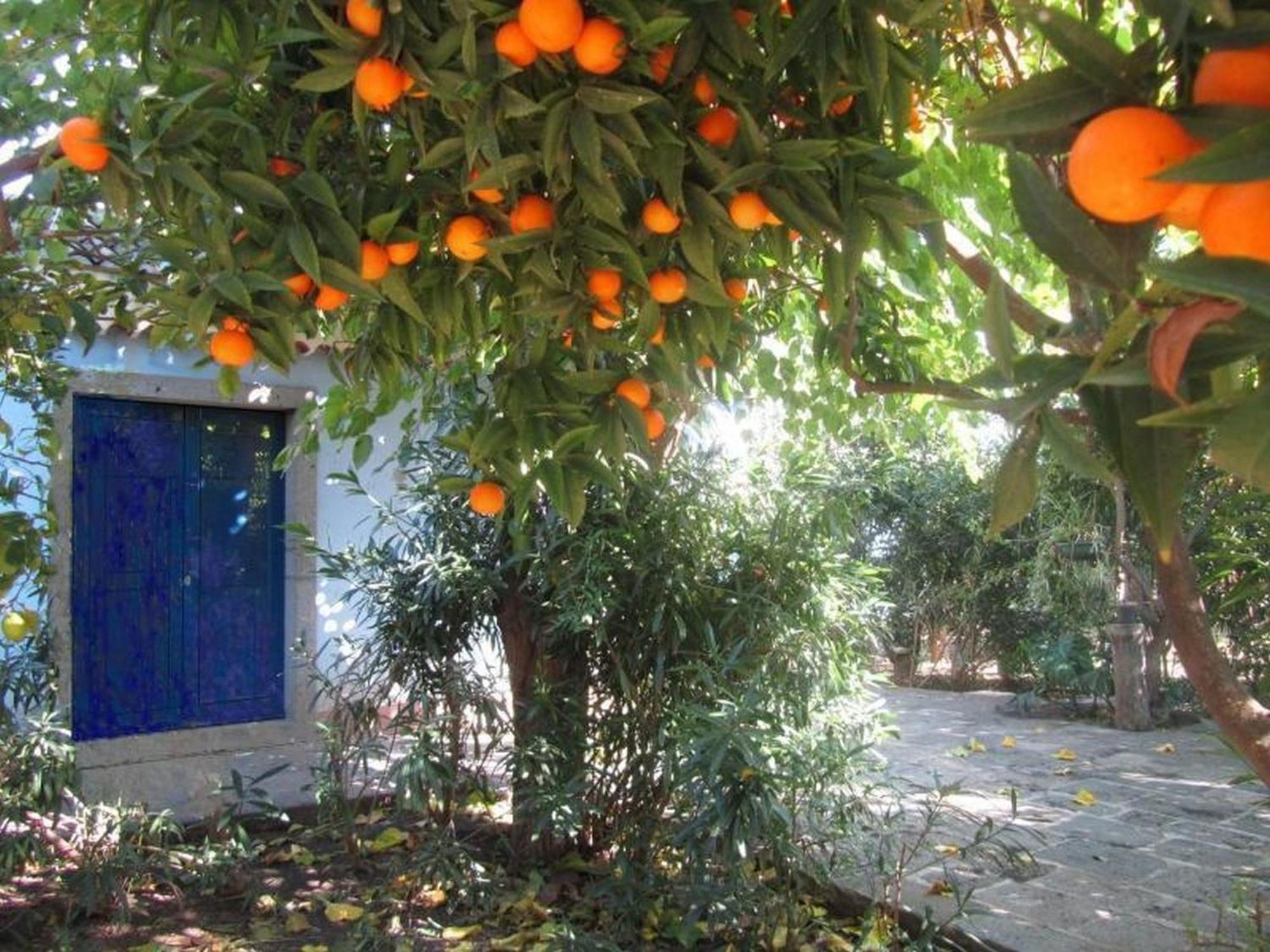 Ferienwohnung Come In Sicily La Pietra Monaca Acireale Zimmer foto
